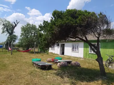 симБиотично