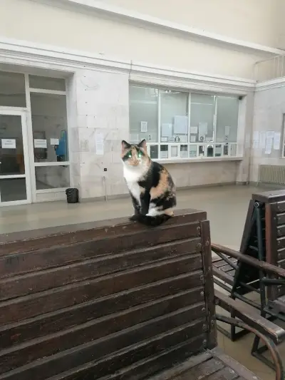 Медицински център „Златен Рог“