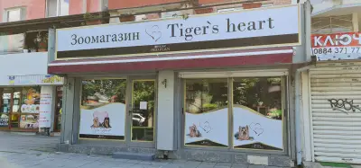 Тигър