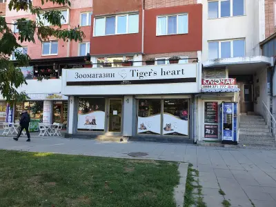 Тигър