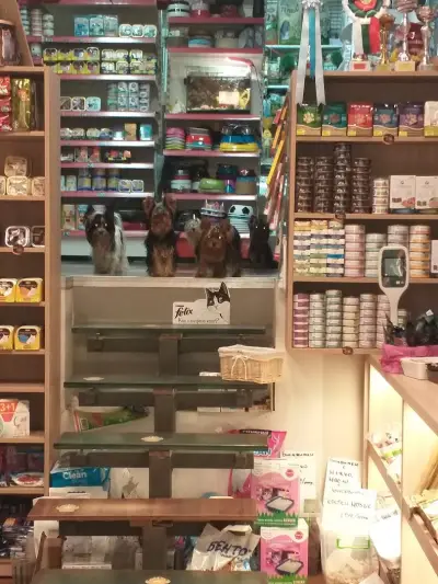Тигър