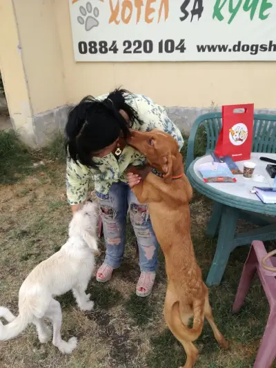 Хотел за кучета и котки Бургас
