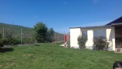 Хотел за кучета и котки Бургас