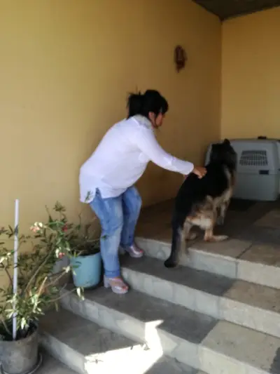 Хотел за кучета и котки Бургас