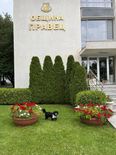 Община Правец
