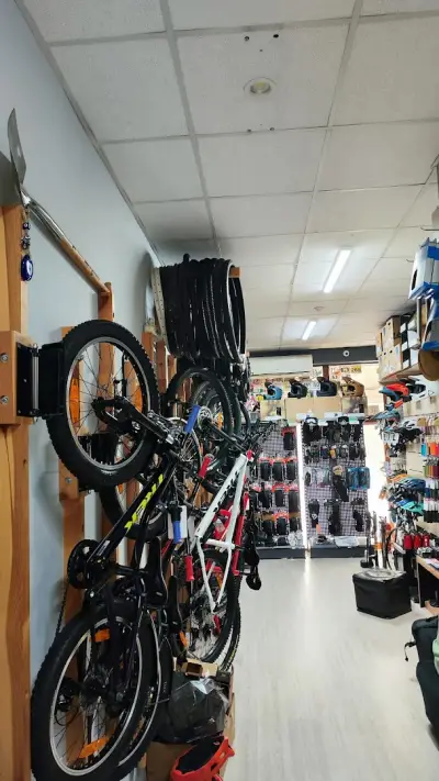 LFF – Bike Shop & Service