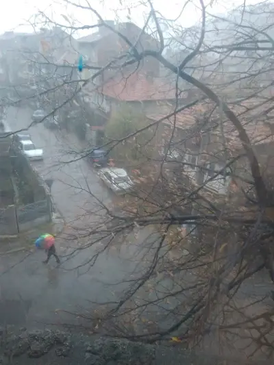 БЪЛГАРИЯ СТИЛУЕАР