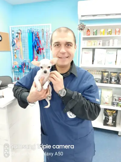 Ветеринарна клиника VetCare-Лагера