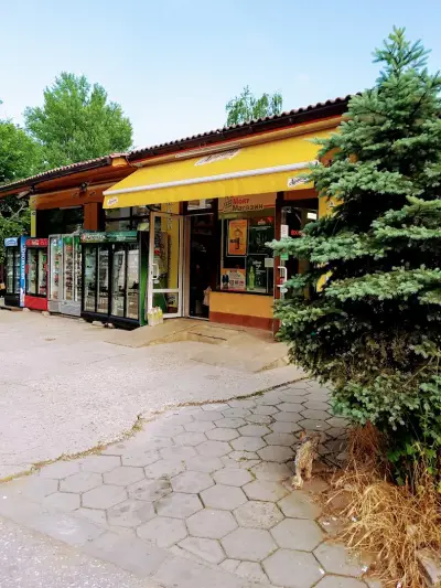 Радина 21