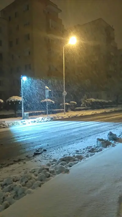 Радина 21