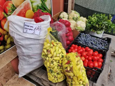 Фрештрейд 13