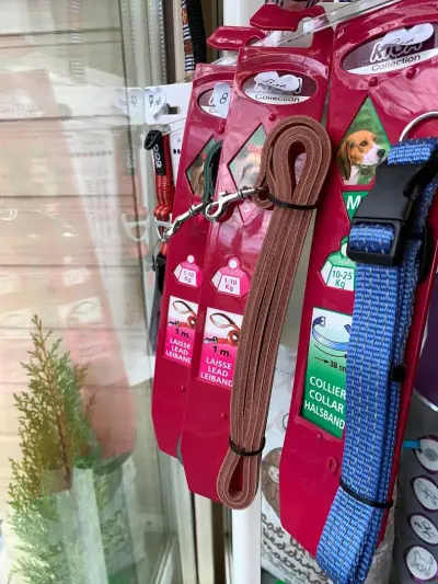 Айляк Pets