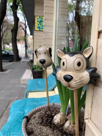 Айляк Pets