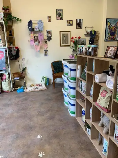 Айляк Pets