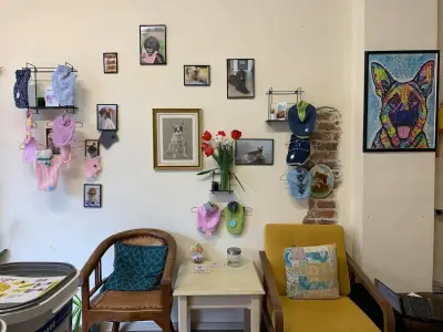 Айляк Pets