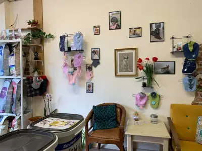 Айляк Pets