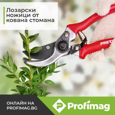 Profimag