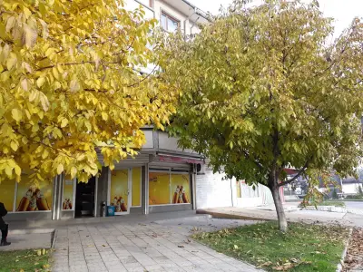 Studio kleopatra