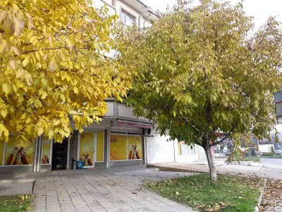 Studio kleopatra