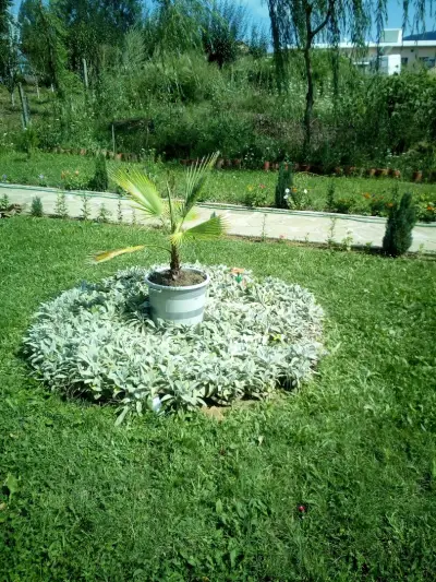Хотел Амброзия