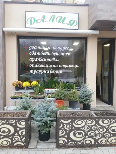 Далия Сторгозия