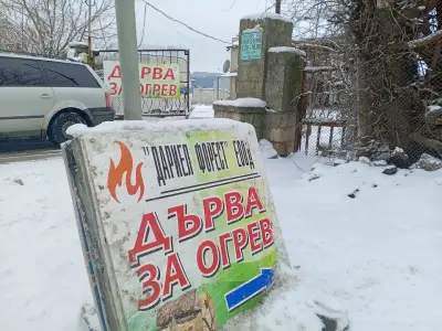 Дариел - Форест ЕООД дърва за огрев, Добрич