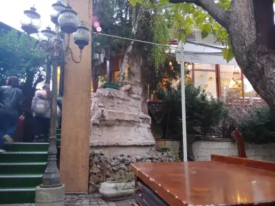 Venis House