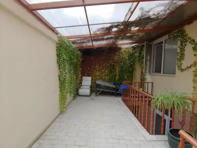 Venis House