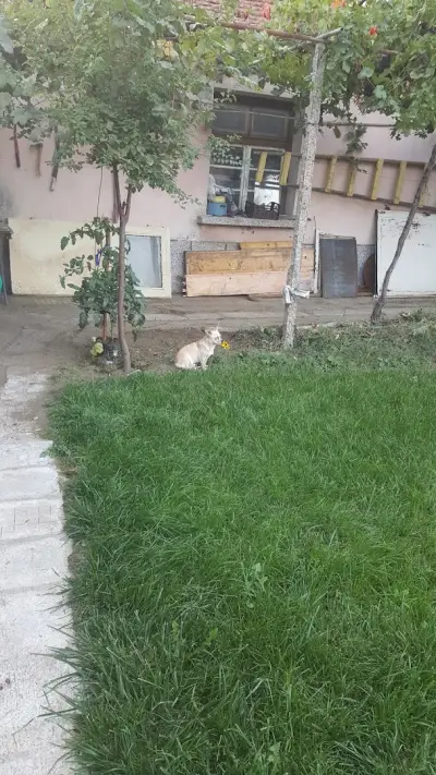 ПАЙПЛАЙФ БЪЛГАРИЯ СКЛАД ПЛОВДИВ