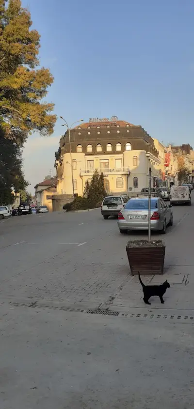 Алианц Застраховане