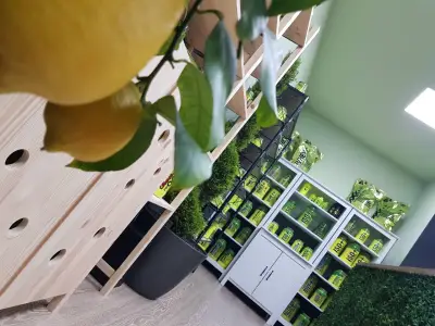 4+ Nutrition Bulgaria Official Store