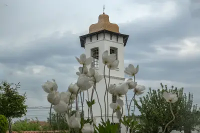 Църква Св. Димитър
