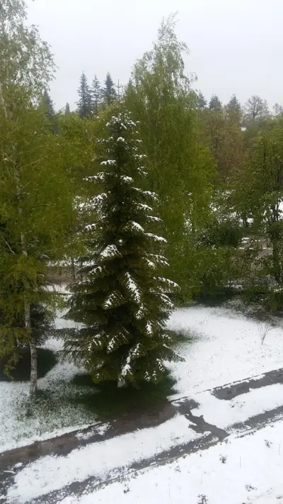 Община Никола Козлево