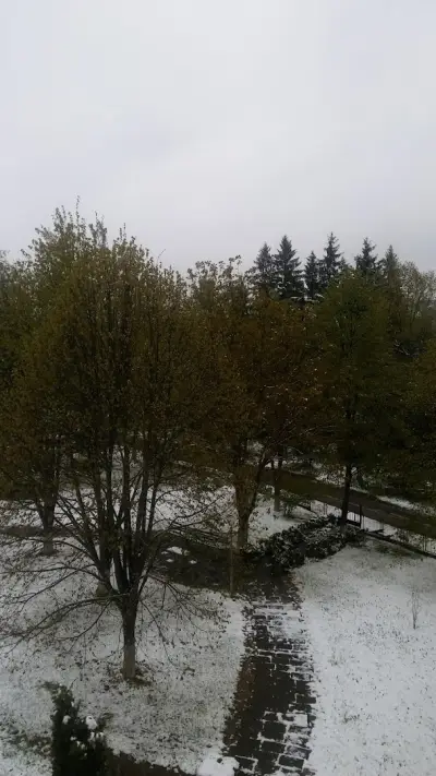 Община Никола Козлево