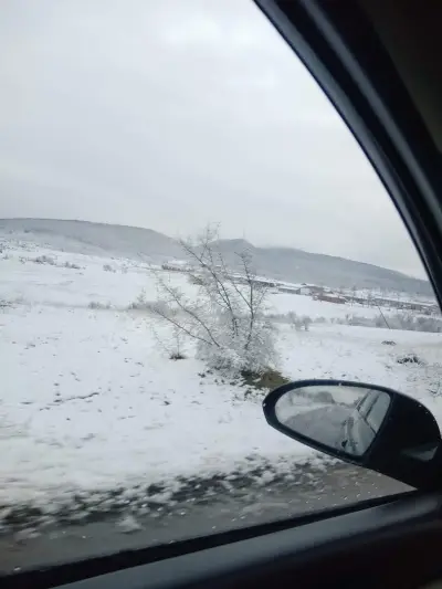 Хотел Деси