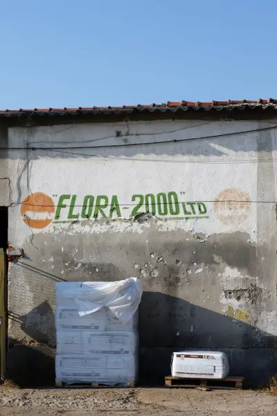 Флора 2000
