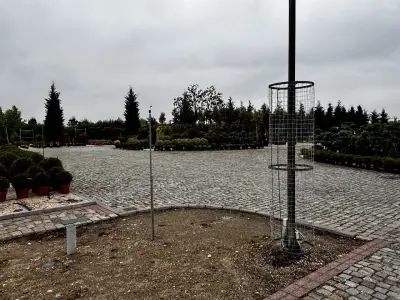 Флора 2000
