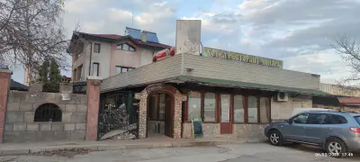 Чинара