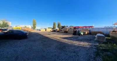 Борса „Голдън Форист“