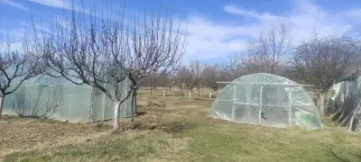 Ферма за щрауси Божурище