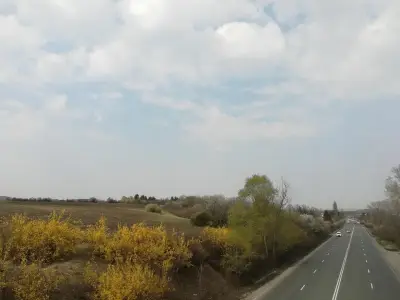 Ферма за щрауси Божурище