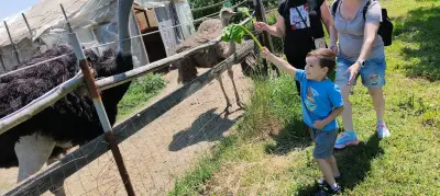 Ферма за щрауси Божурище