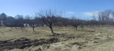 Ферма за щрауси Божурище