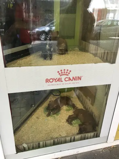 Зоомагазин ZOO CENTER Солунска