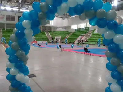 Арена Ботевград