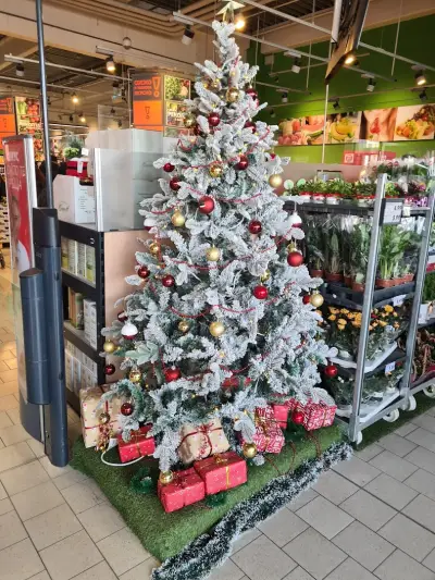 Kaufland Сливен - Промишлена зона