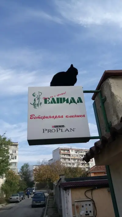 Елпида