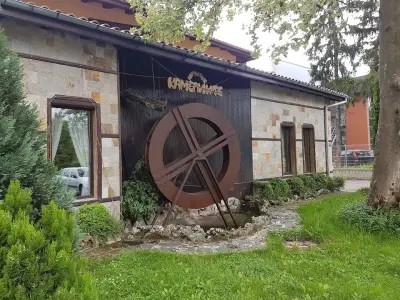 Камелиите