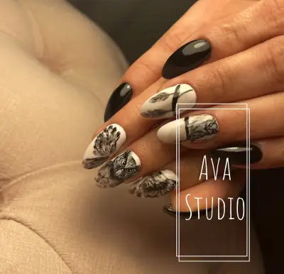 AvaStudioShumen