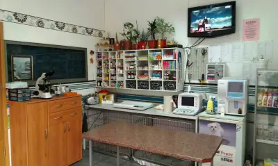 Абалон Вет